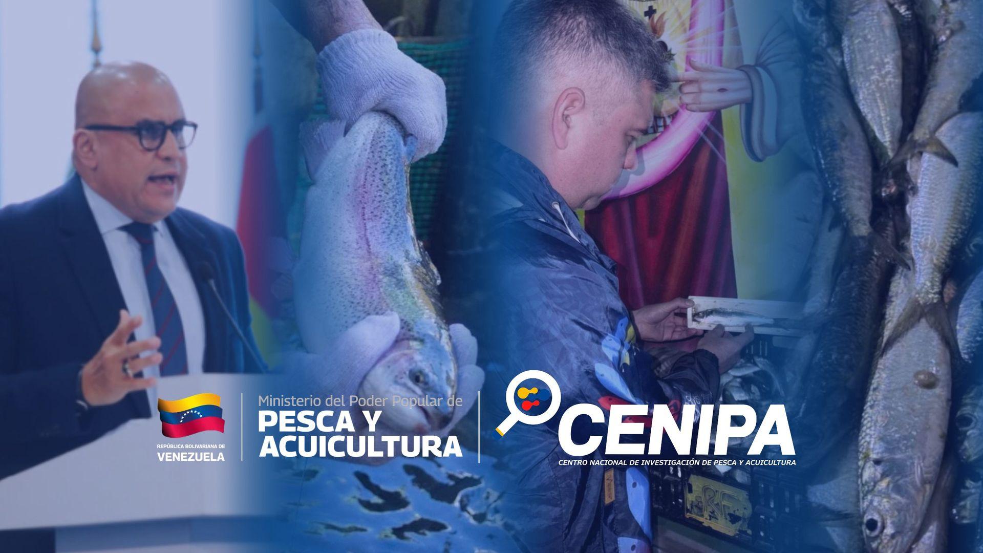 CENIPA Imagen 4