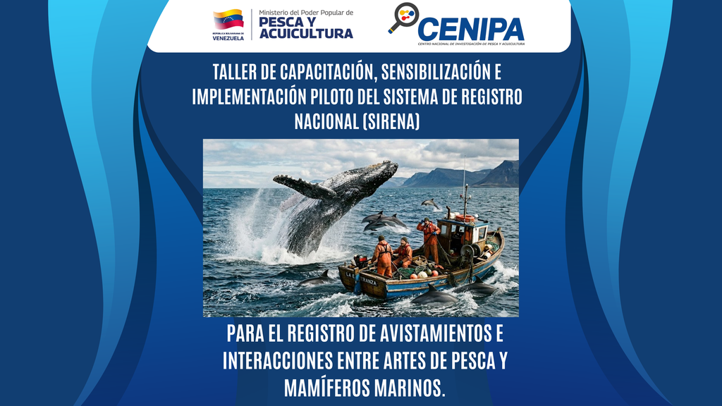 Taller de capacitación, sensibilización e implementación piloto del Sistema de Registro Nacional (SIRENA) para el registro de avistamientos e interacciones entre artes de pesca y mamíferos marinos