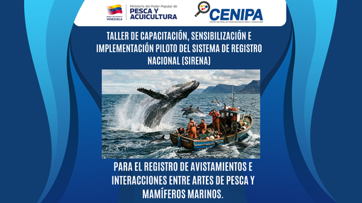 Taller de capacitación, sensibilización e implementación piloto del Sistema de Registro Nacional (SIRENA) para el registro de avistamientos e interacciones entre artes de pesca y mamíferos marinos