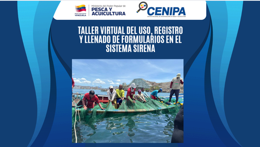 Taller: Uso, registro y Llenado de Formularios en el Sistema SIRENA